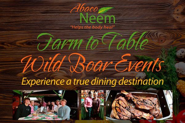 Abaco's Farm To Table Dining Destination